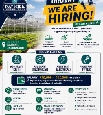 Job Image